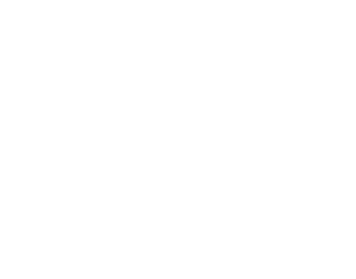 Tough Turtle Turf logo